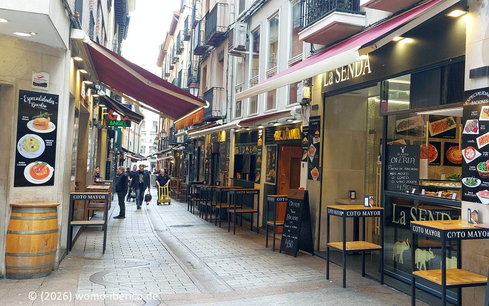Logroño, Calle del Laurel 20260430 Logrono Laurel