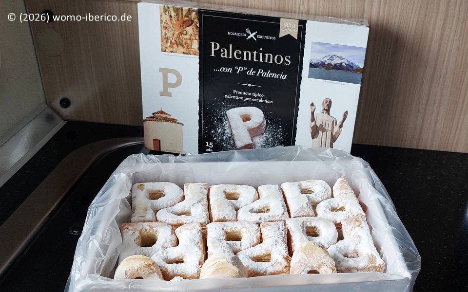 20260509 Palencia Palentinos