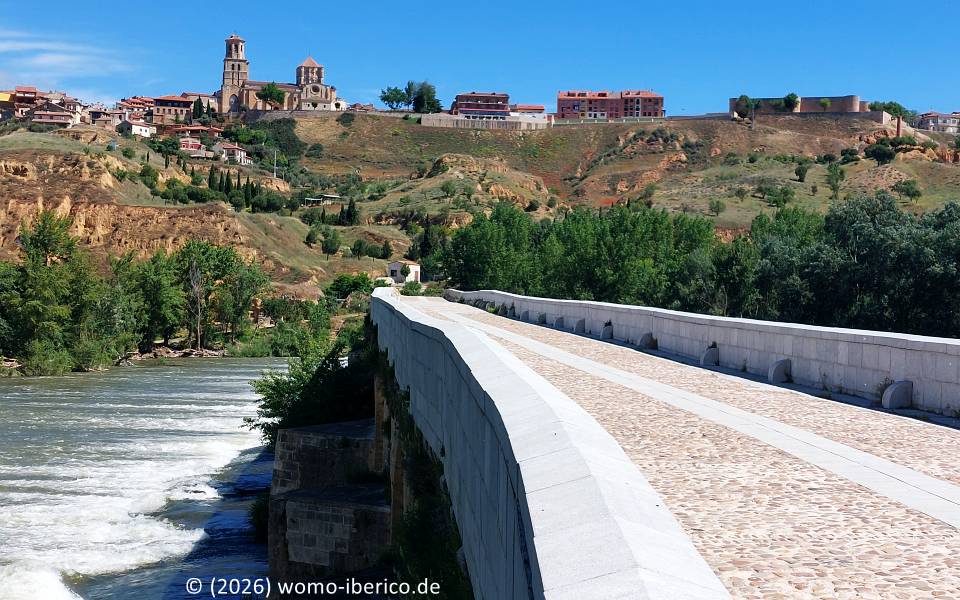 Toro, Puente Mayor 20260514 Toro Puente