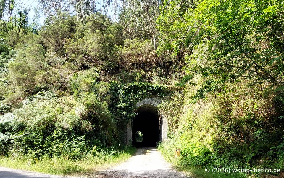 Vía Verde del Eo 20260613 VV Eo Tunnel1