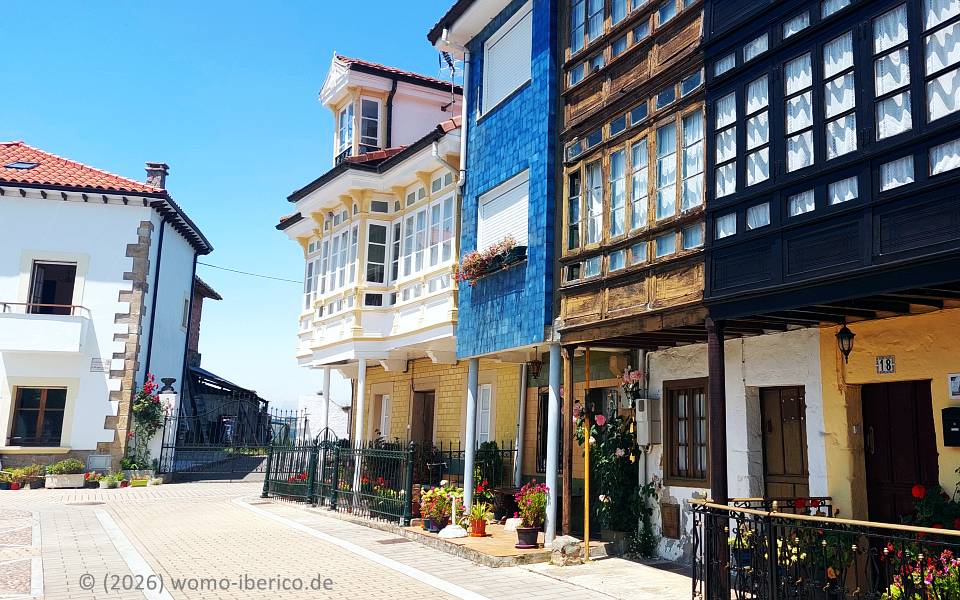 Torazo 20260615 Torazu Haus