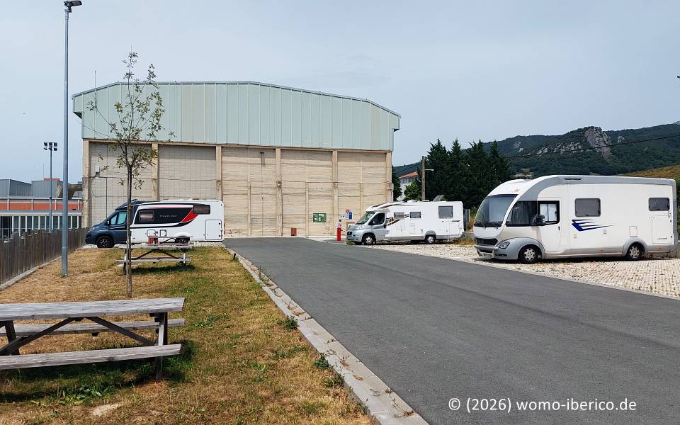 20260620 Araia Stp